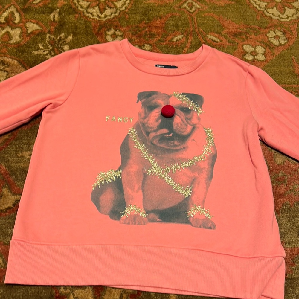 Gap Kids Sweatshirt L 10 Girls